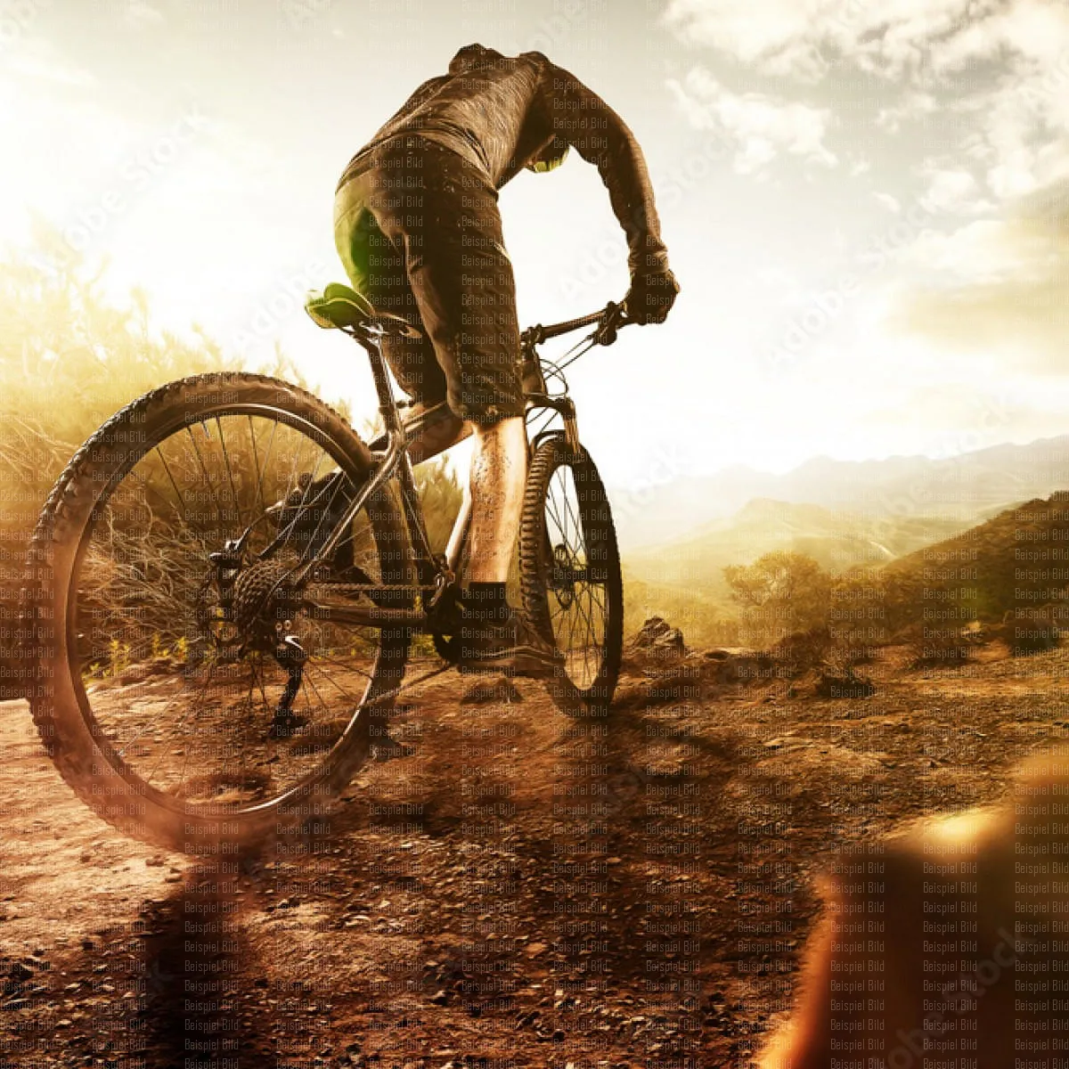 AdobeStock_157389960_Preview