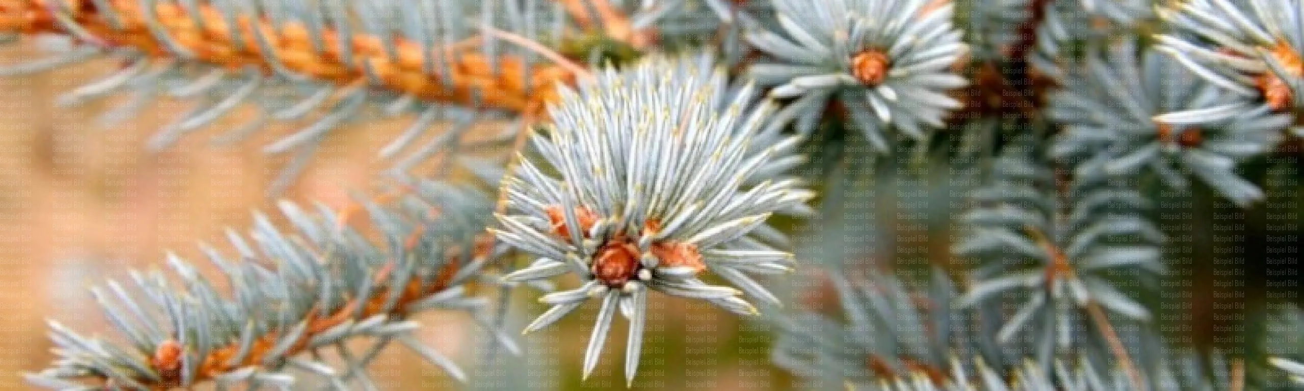 1.